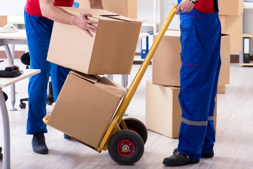 Two movers with trolley and carton in the concept of a man and van service company in Leyton.